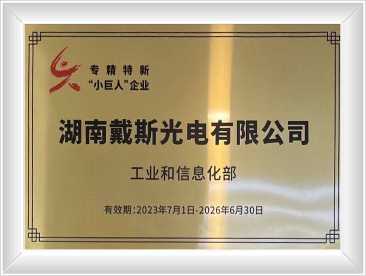 国家专精特新小巨人企业
