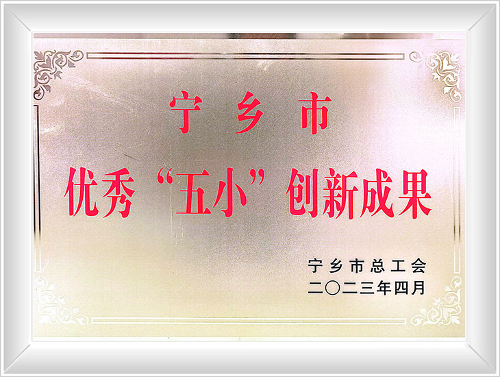 宁乡市优秀“五小”创新成果